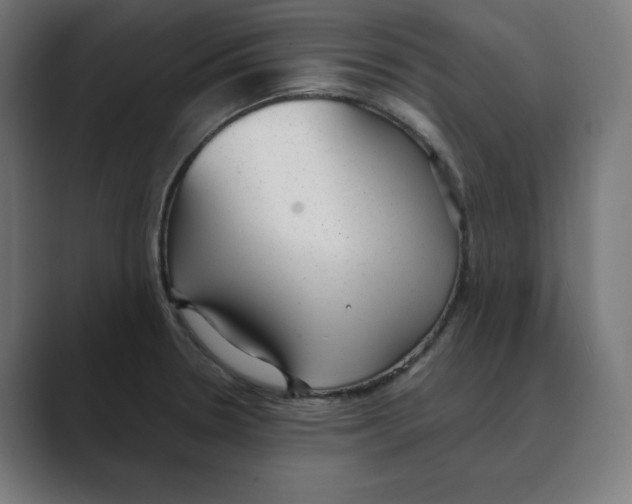 X0000088421330200706191209