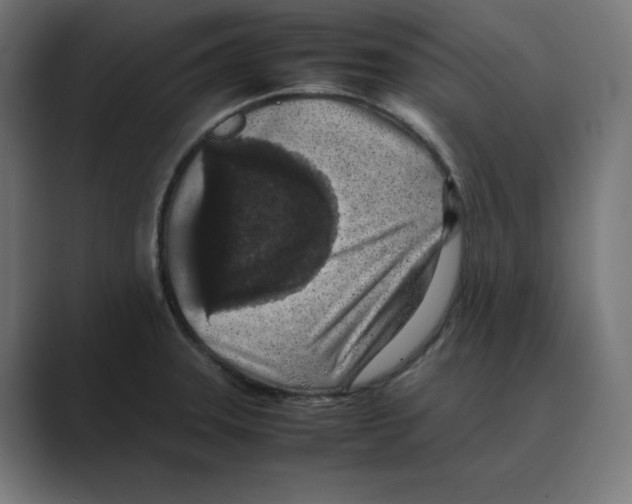 X0000088421331200706191209