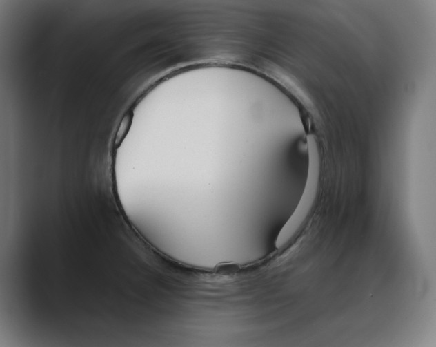 X0000088421332200706191209