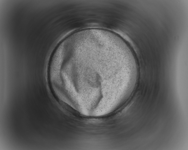 X0000088421333200706191209