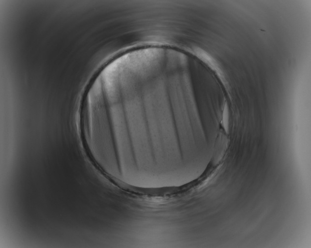 X0000088421334200706191209