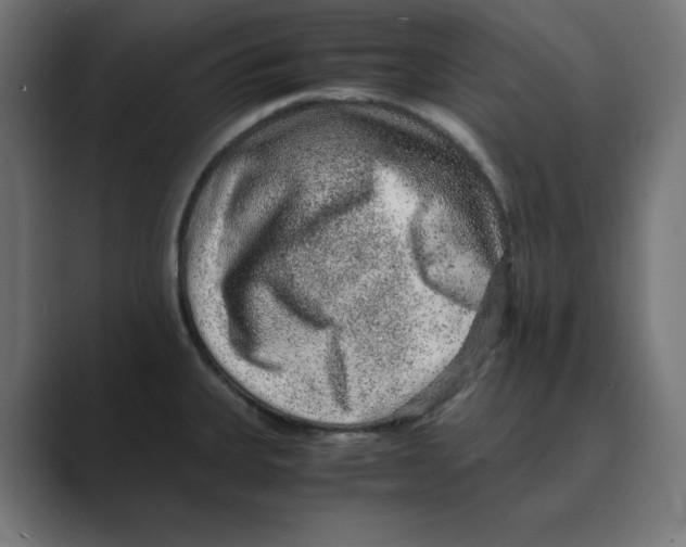 X0000088421335200706191209