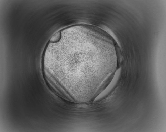 X0000088421339200706191209