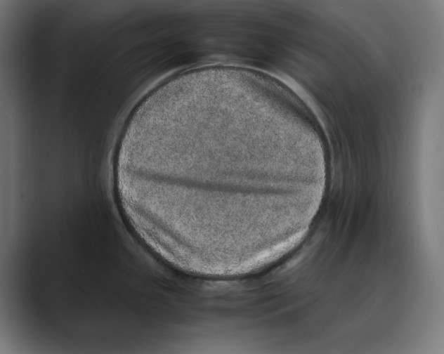 X0000088421341200706191209