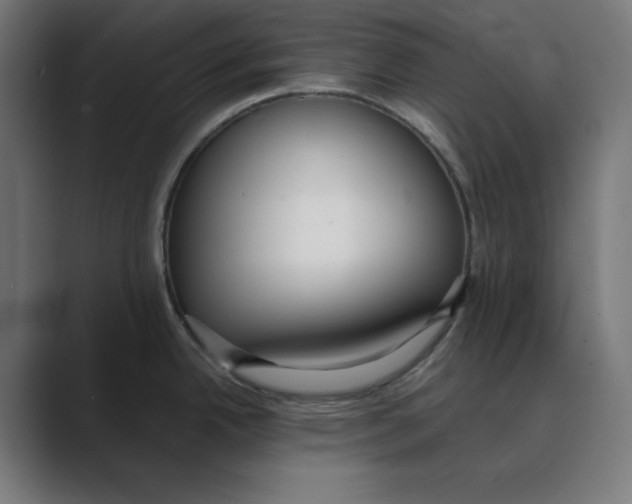 X0000088421342200706191209