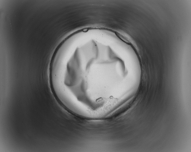 X0000088421343200706191209