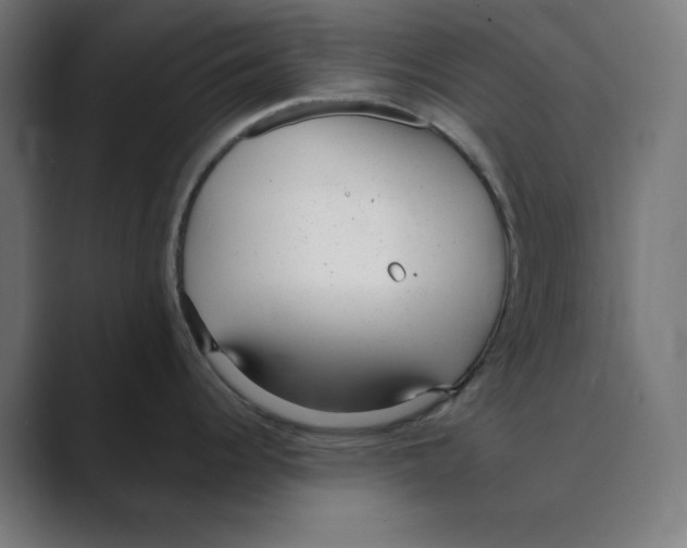 X0000088421344200706191209