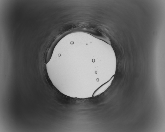 X0000088421345200706191208
