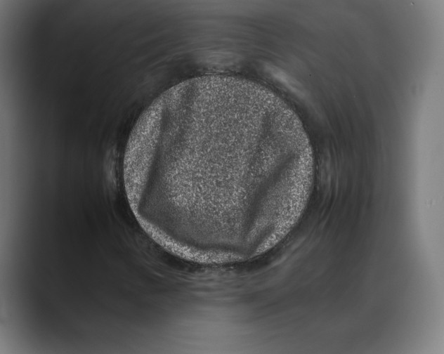 X0000088421346200706191208
