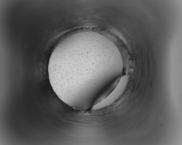 X0000088421352200706191208