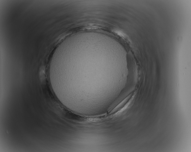 X0000088421353200706191208