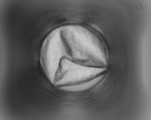 X0000088421355200706191208