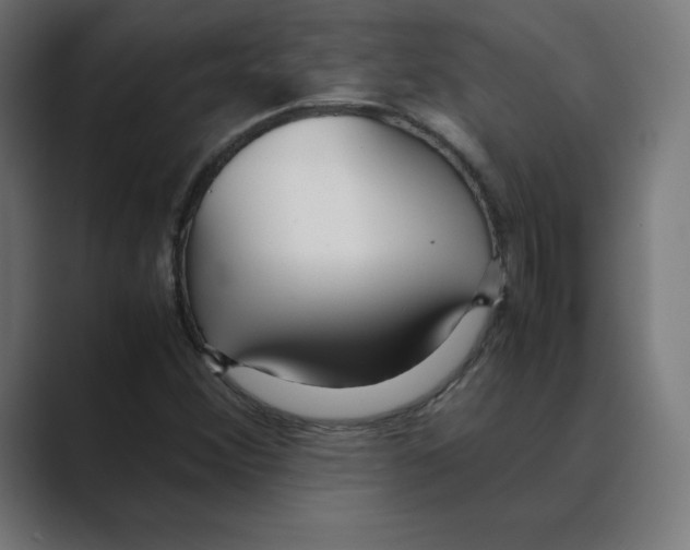 X0000088421356200706191208