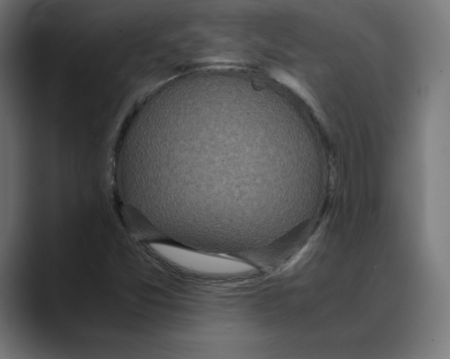 X0000088421357200706191208