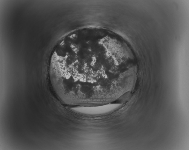 X0000088421359200706191208
