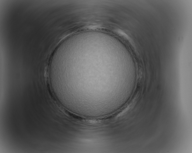 X0000088421361200706191208