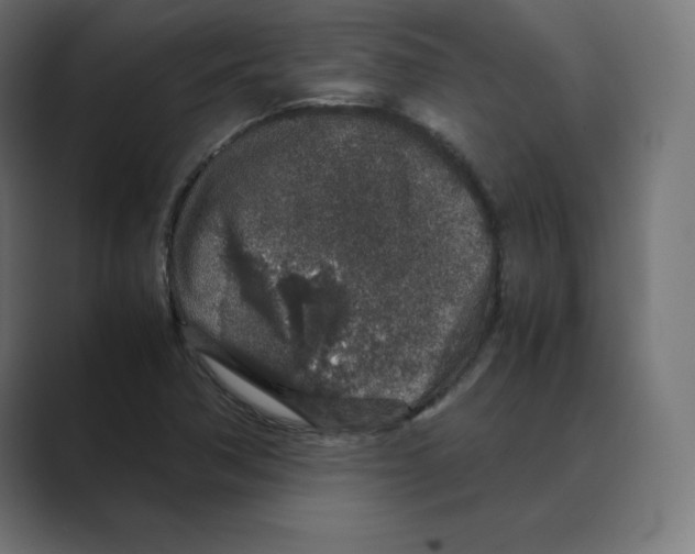 X0000088421362200706191208