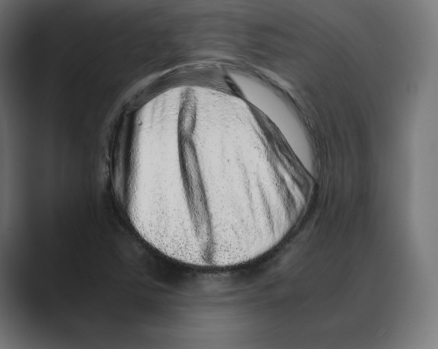 X0000088421363200706191208