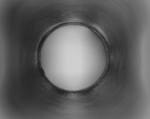 X0000088421364200706191208