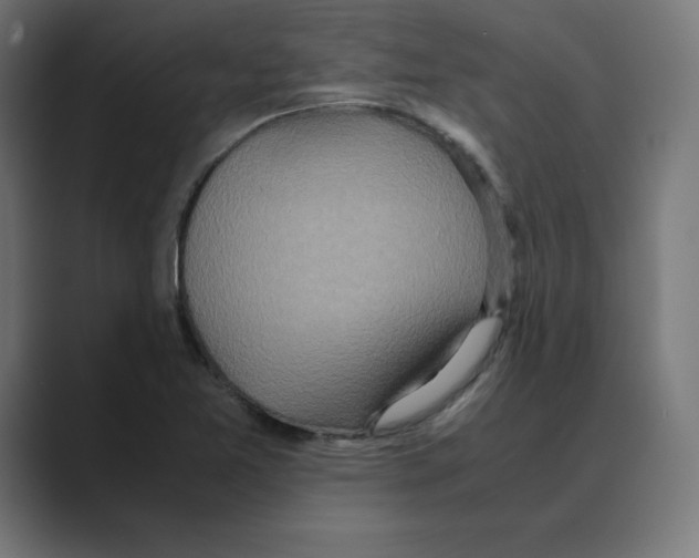 X0000088421365200706191208