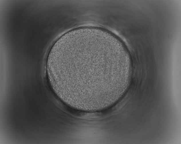 X0000088421367200706191208