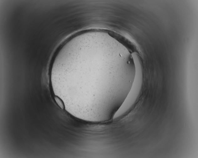 X0000088421372200706191208