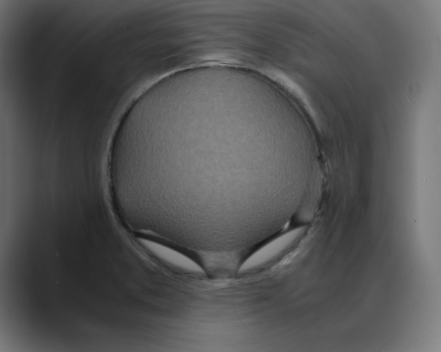 X0000088421373200706191208