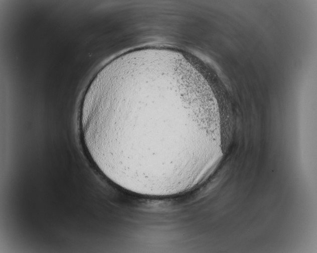 X0000088421375200706191208
