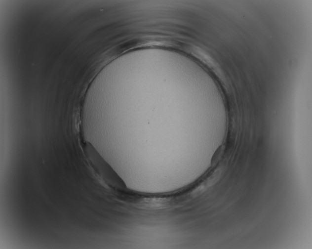 X0000088421377200706191208