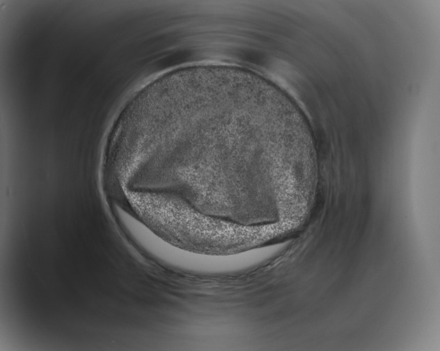 X0000088421379200706191208