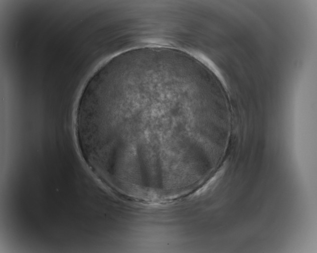 X0000088421381200706191208