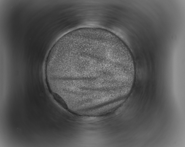 X0000088421382200706191208