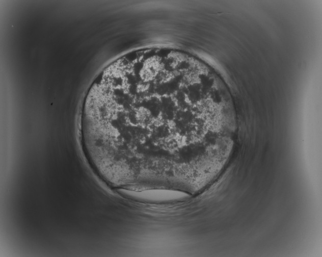 X0000088421383200706191208
