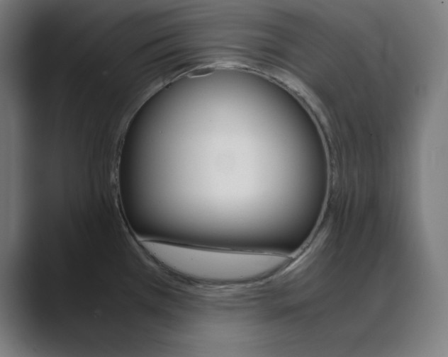 X0000088421385200706191208