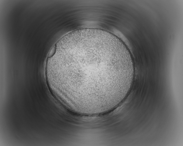 X0000088421386200706191208