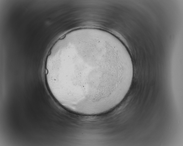 X0000088421387200706191208