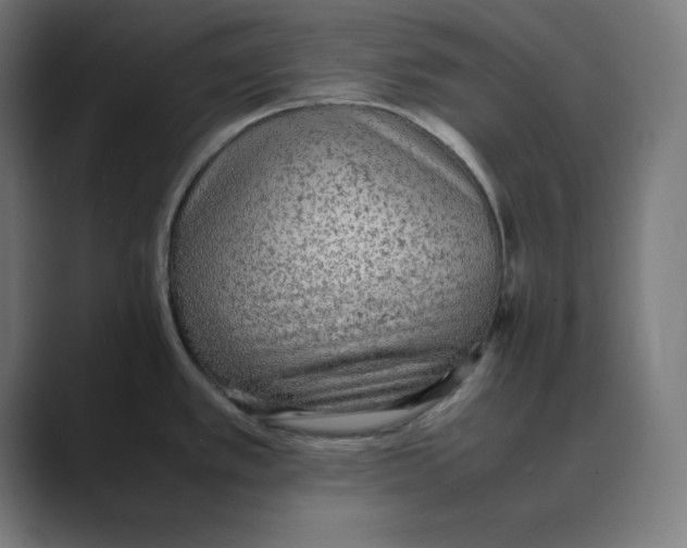 X0000088421389200706191208