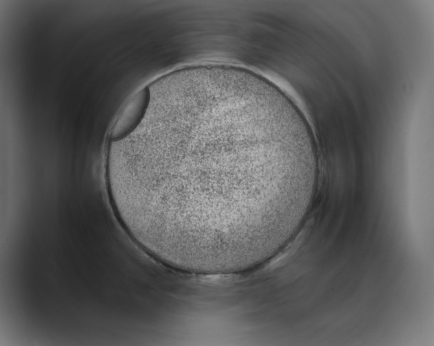 X0000088421390200706191208