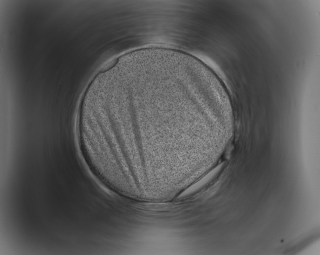 X0000088421391200706191208