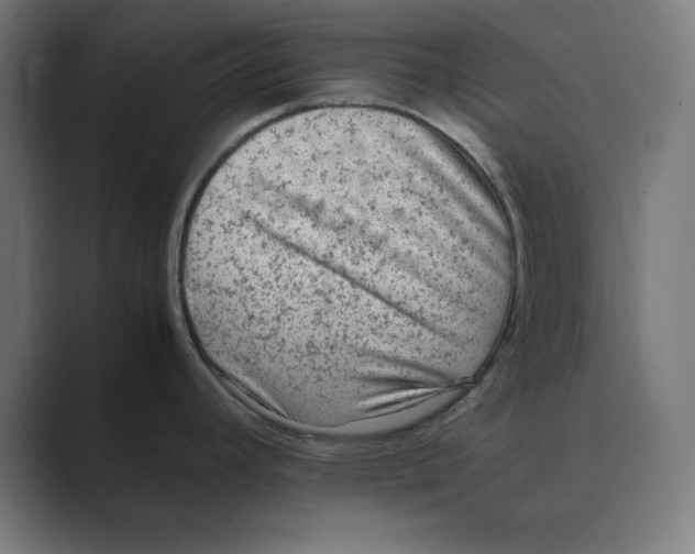 X0000088421392200706191208