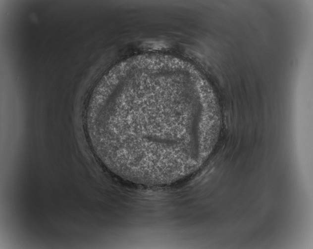X0000088421393200706191207