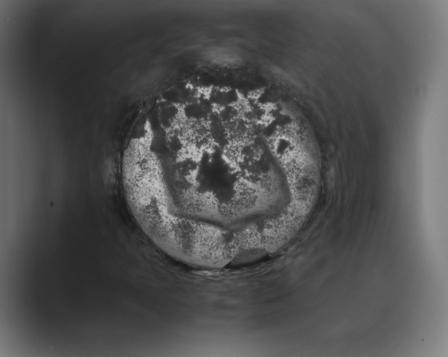 X0000088421397200706191207