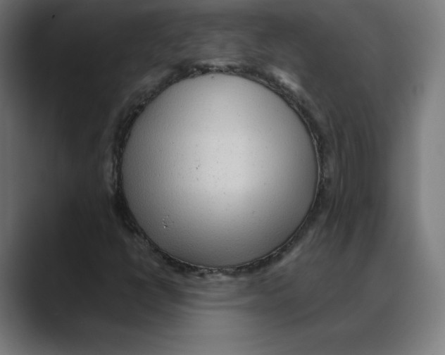 X0000088421398200706191207
