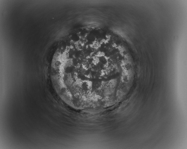 X0000088421399200706191207