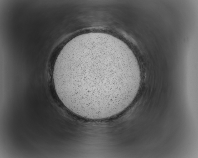 X0000088421400200706191207