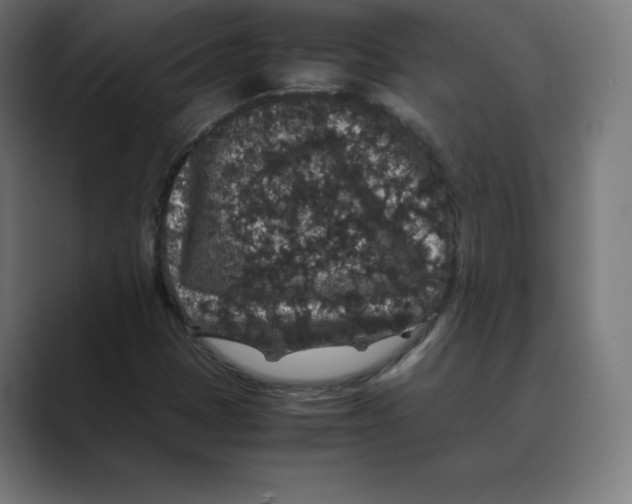 X0000088421401200706191207