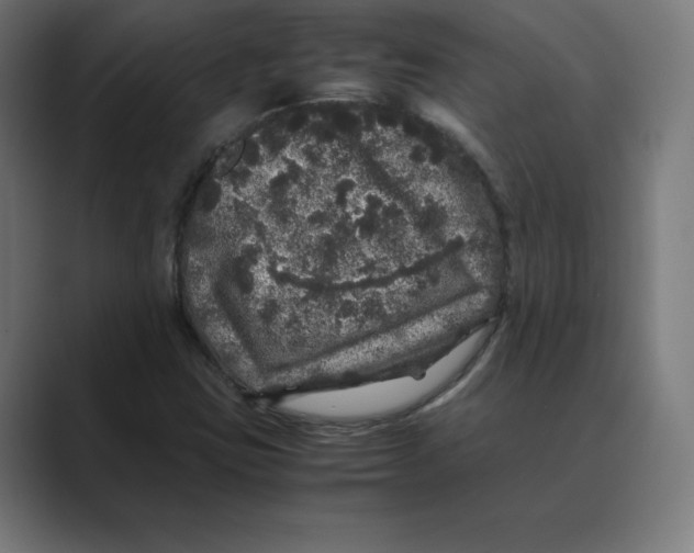 X0000088421403200706191207