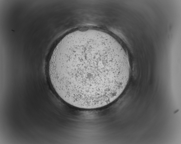 X0000088421404200706191207
