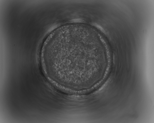 X0000088421405200706191207