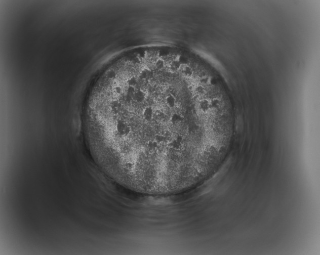 X0000088421407200706191207